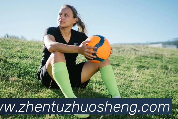 j9真人游戏第一品牌平台生态图